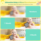 Baby Visual Stimulation Cards From 0 Month to 36 Months - Box of 4 Sets